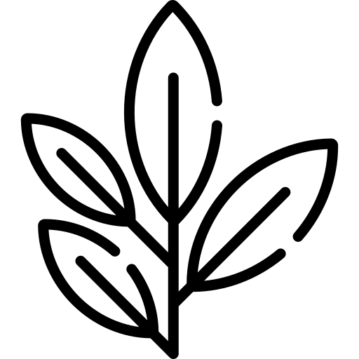 ikona Zelený čaj