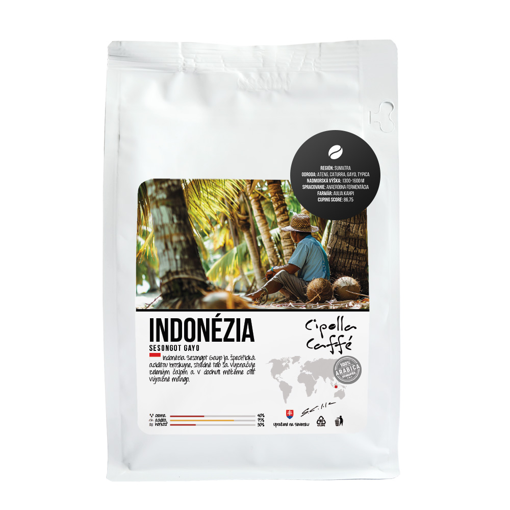 indonezia_sesongot_gayo